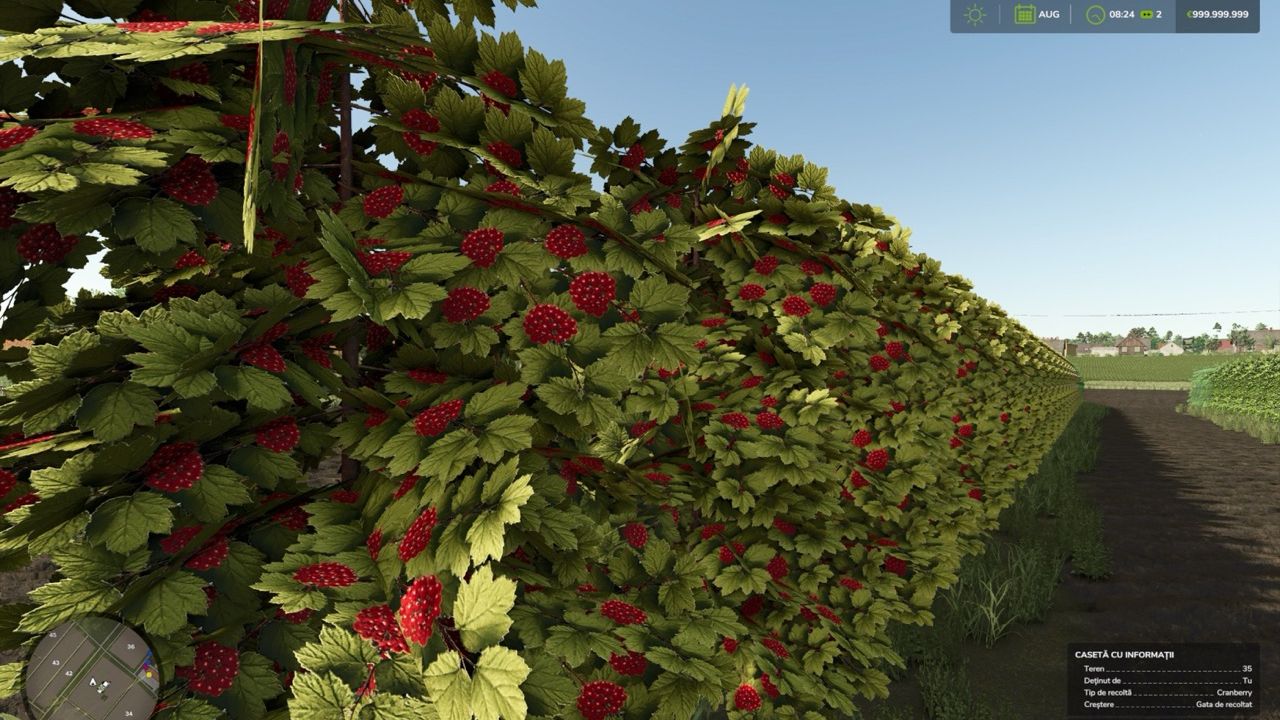 Zielonka Real Orchards - Multifruit