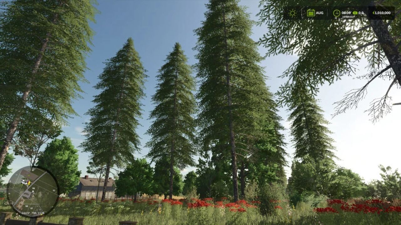 Zielonka Wildkarte