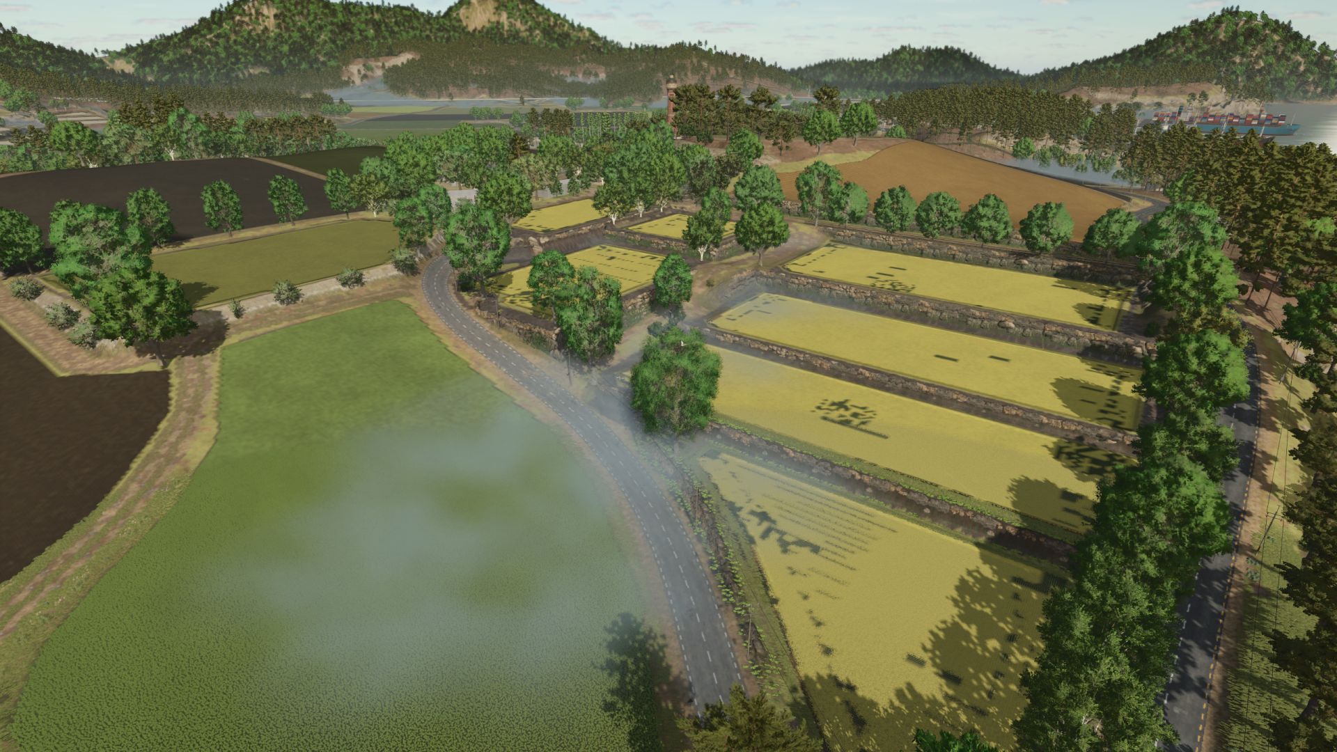 Rice farm on Settlers