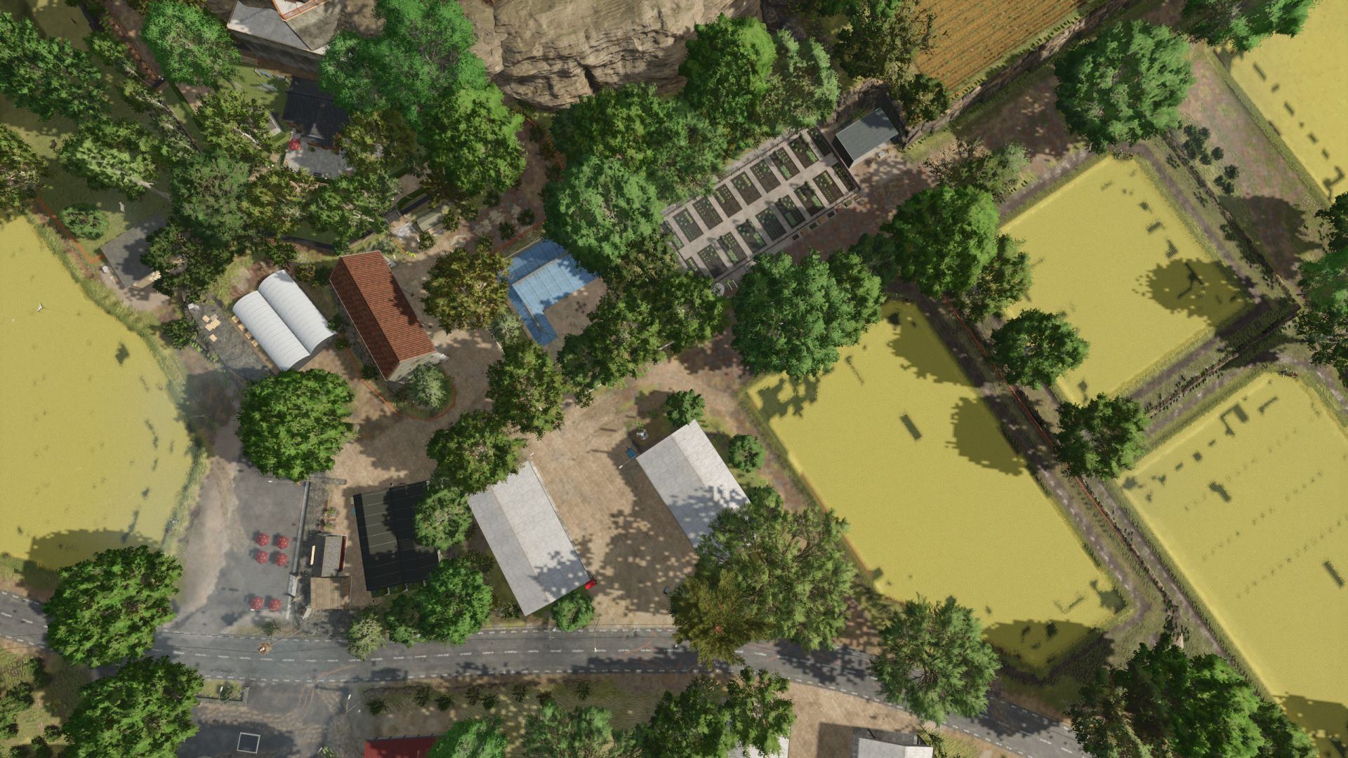 Rice farm on Settlers