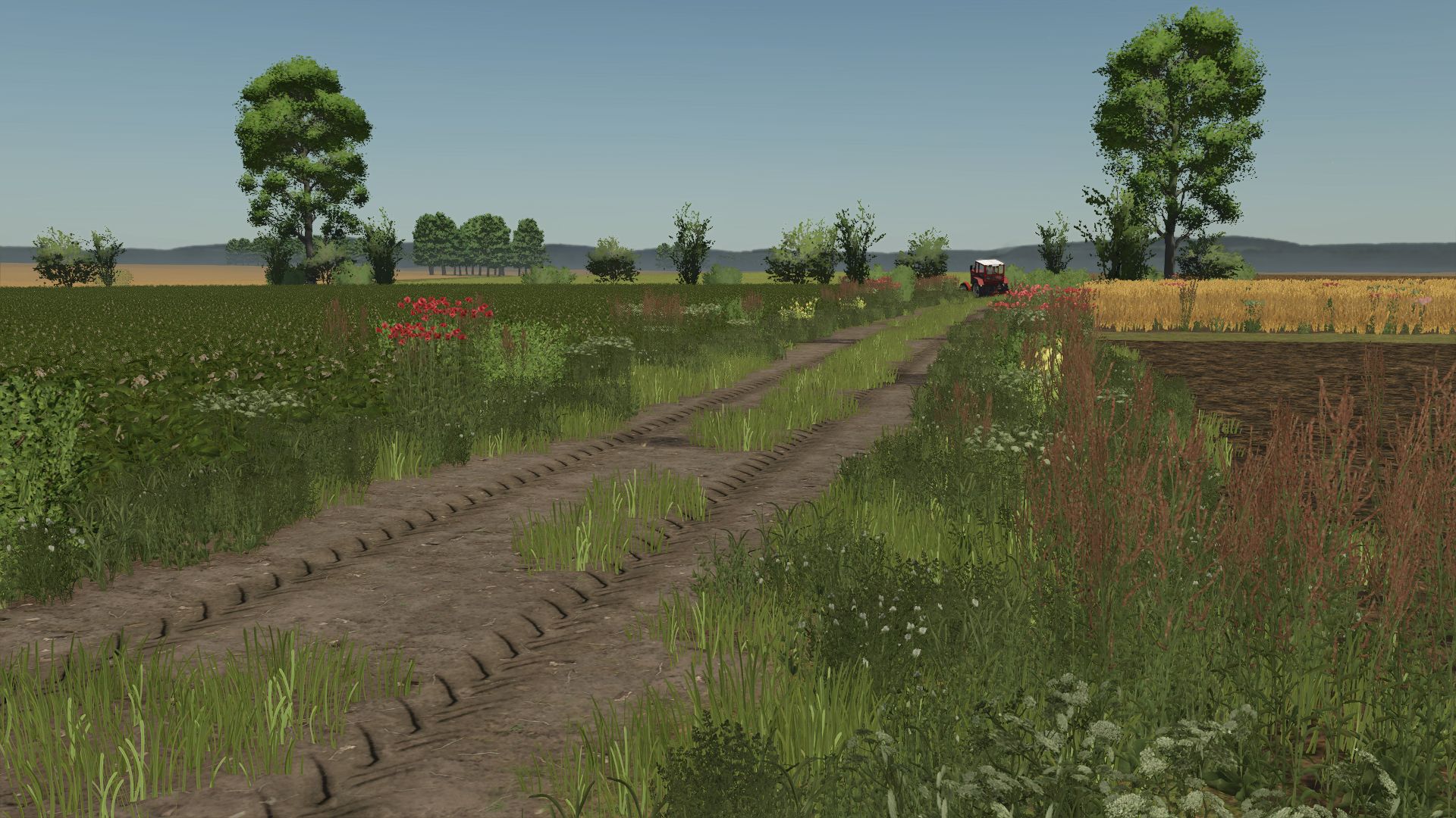 Dunăreni Rework