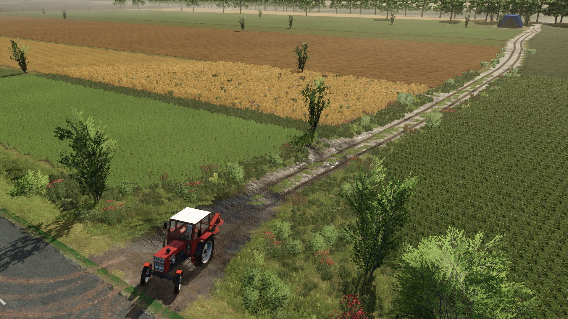 Dunăreni Rework