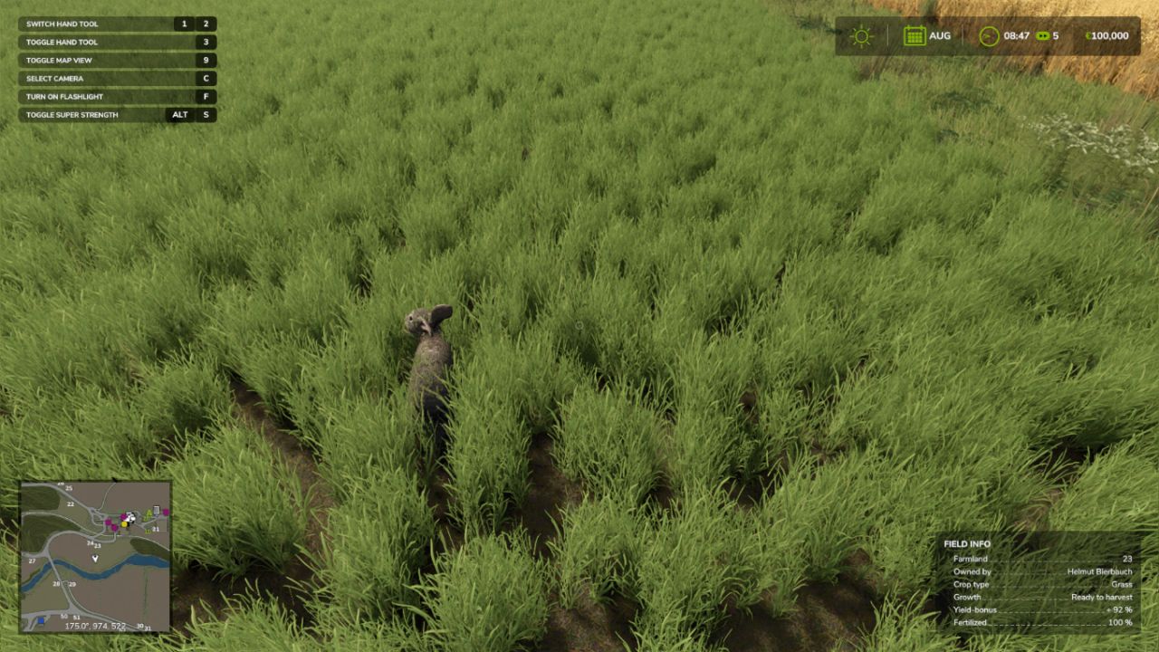 Field Wildlife