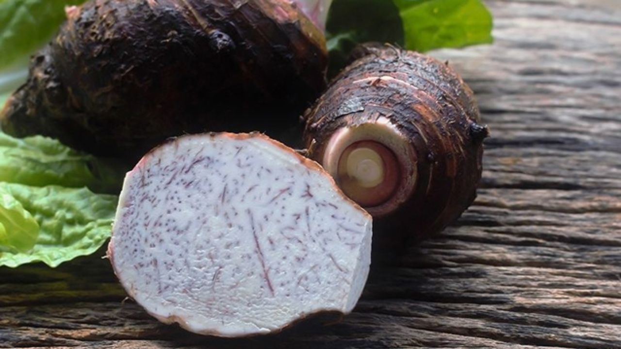 Hutan Pantai Real Orchards - Multifruit