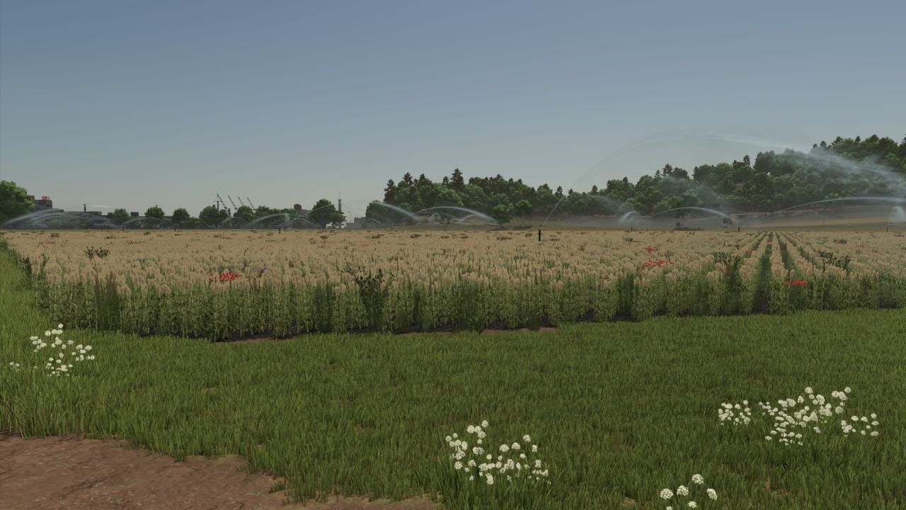 Système d'irrigation