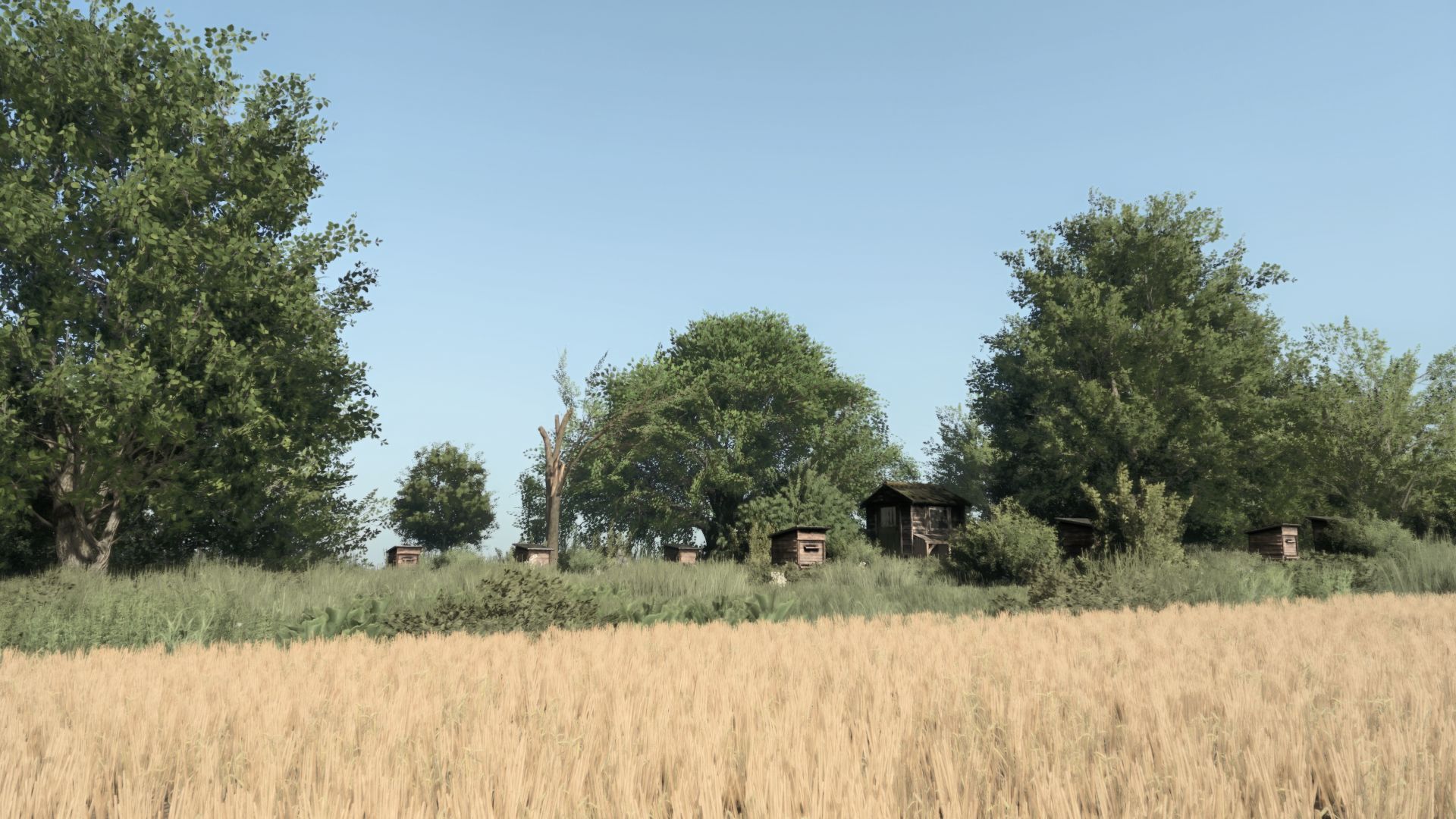 Kopytko