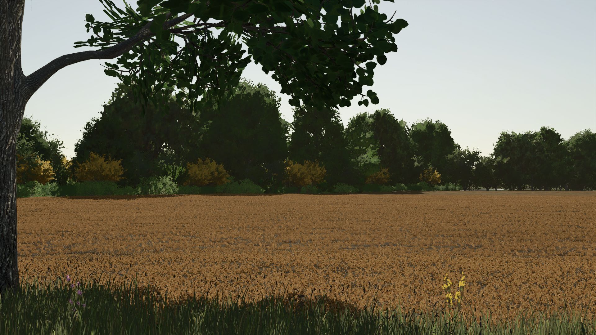 Kujawska Ziemia Real Map 4x