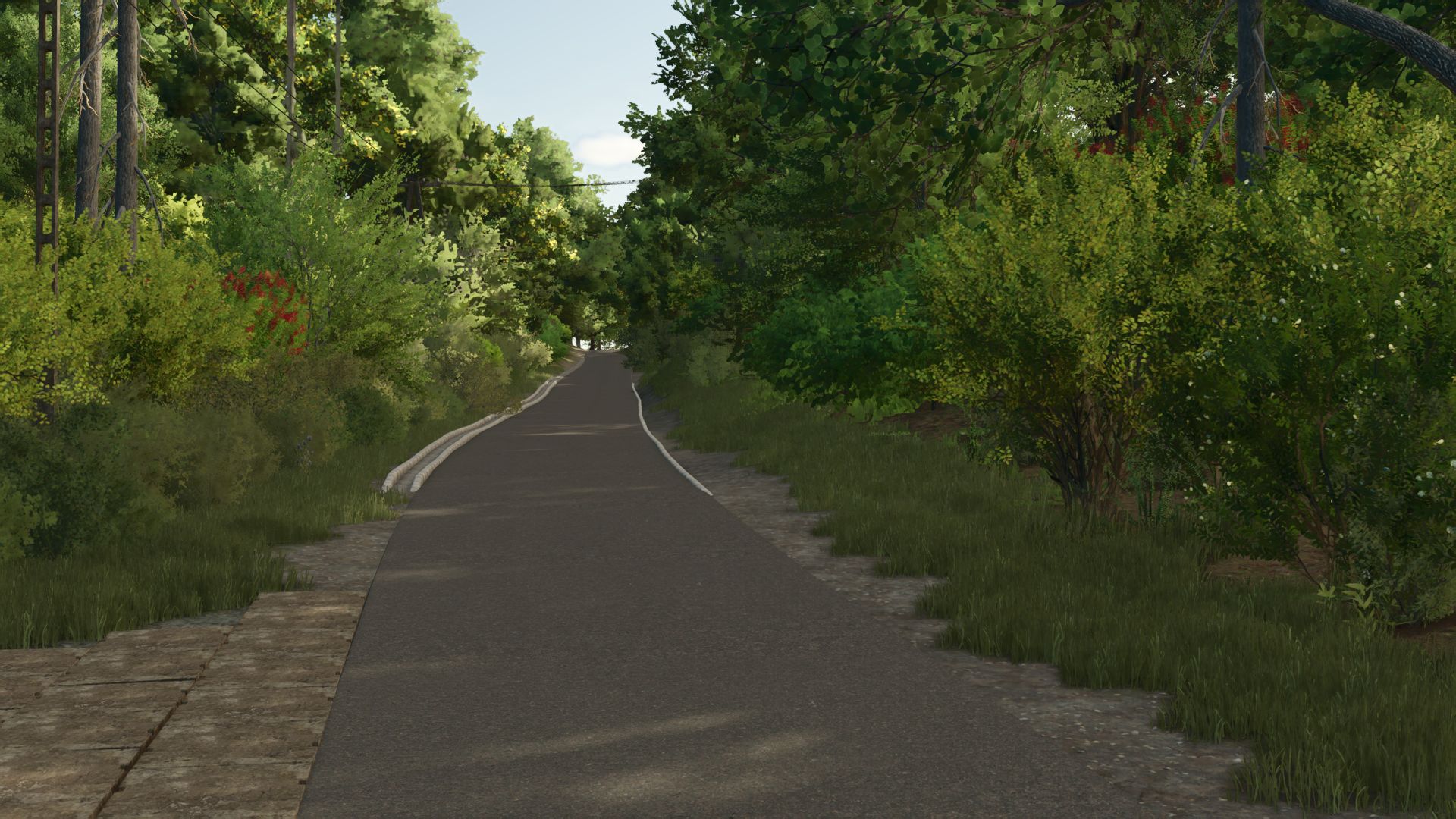 Kujawska Ziemia Real Map 4x