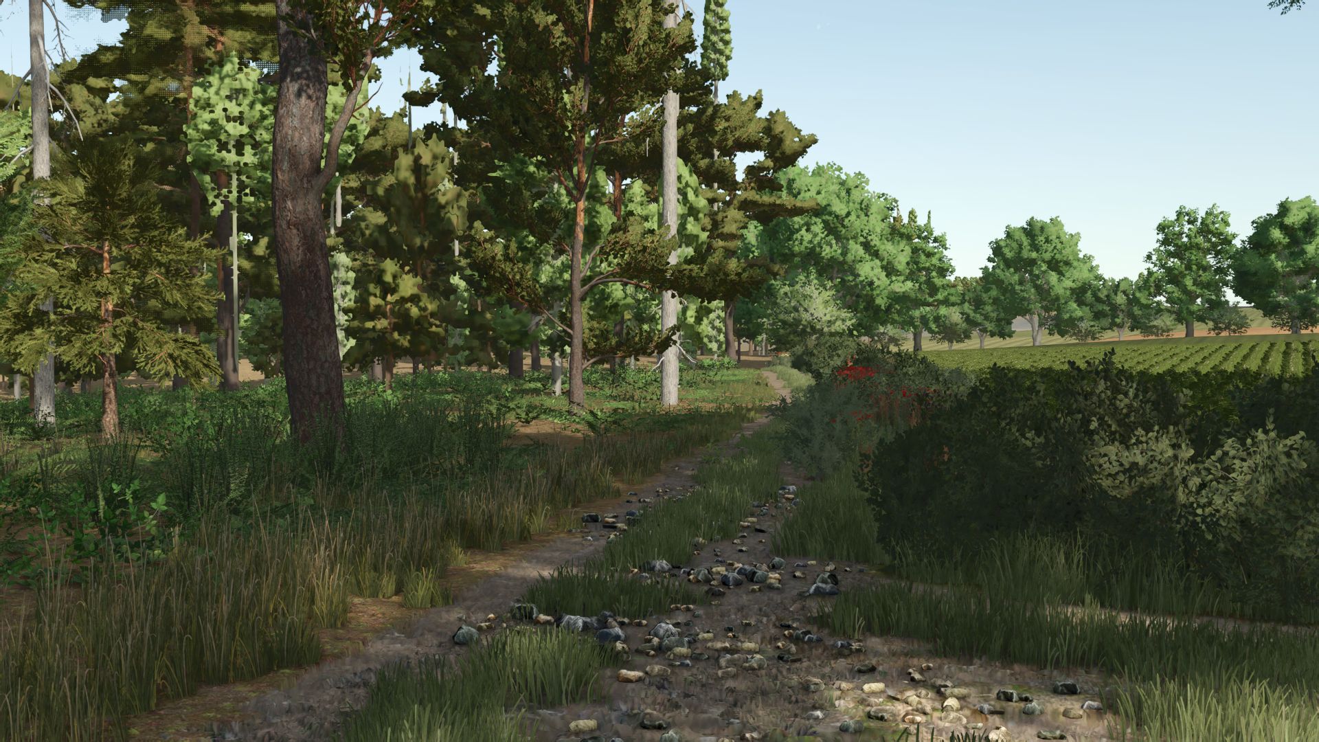 Kujawska Ziemia Real Map 4x