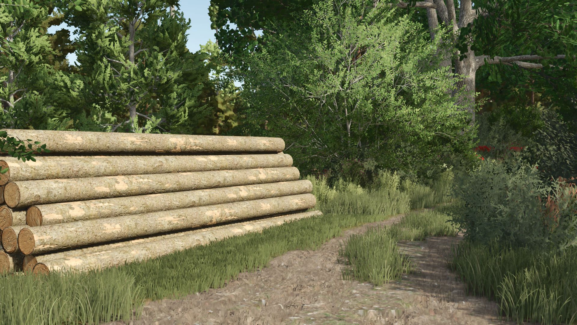 Kujawska Ziemia Real Map 4x