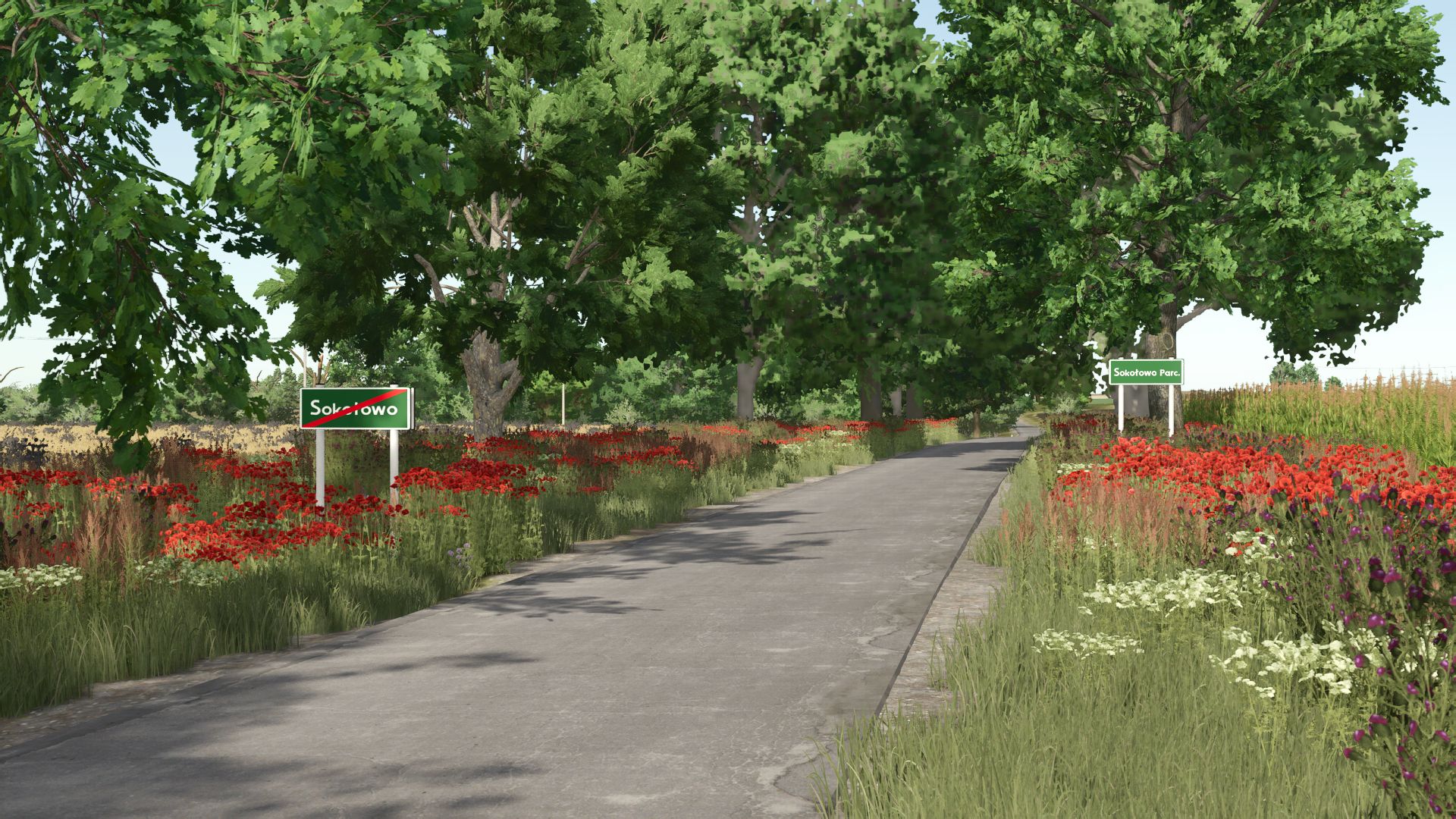 Kujawska Ziemia Real Map 4x