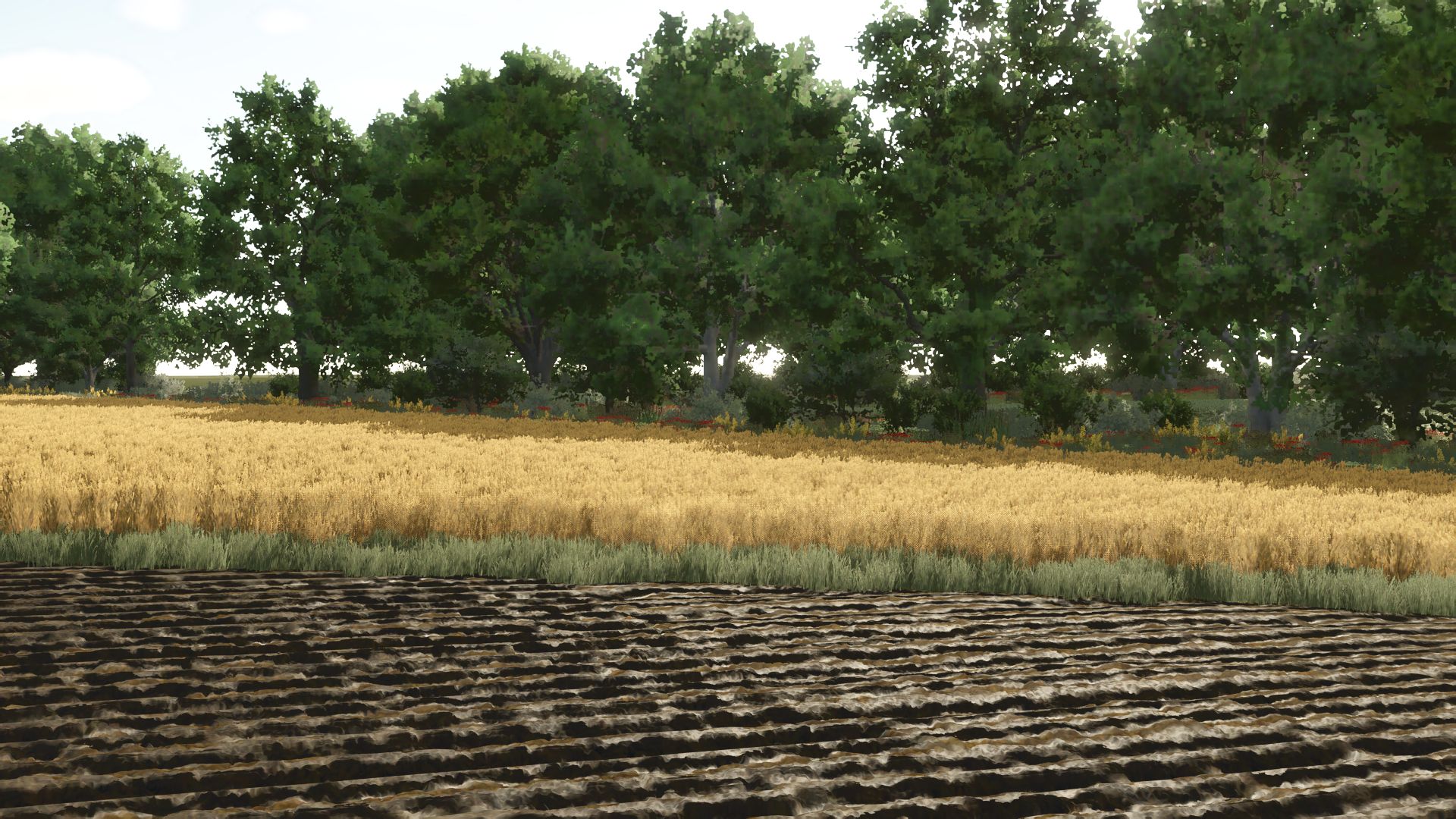 Kujawska Ziemia Real Map 4x