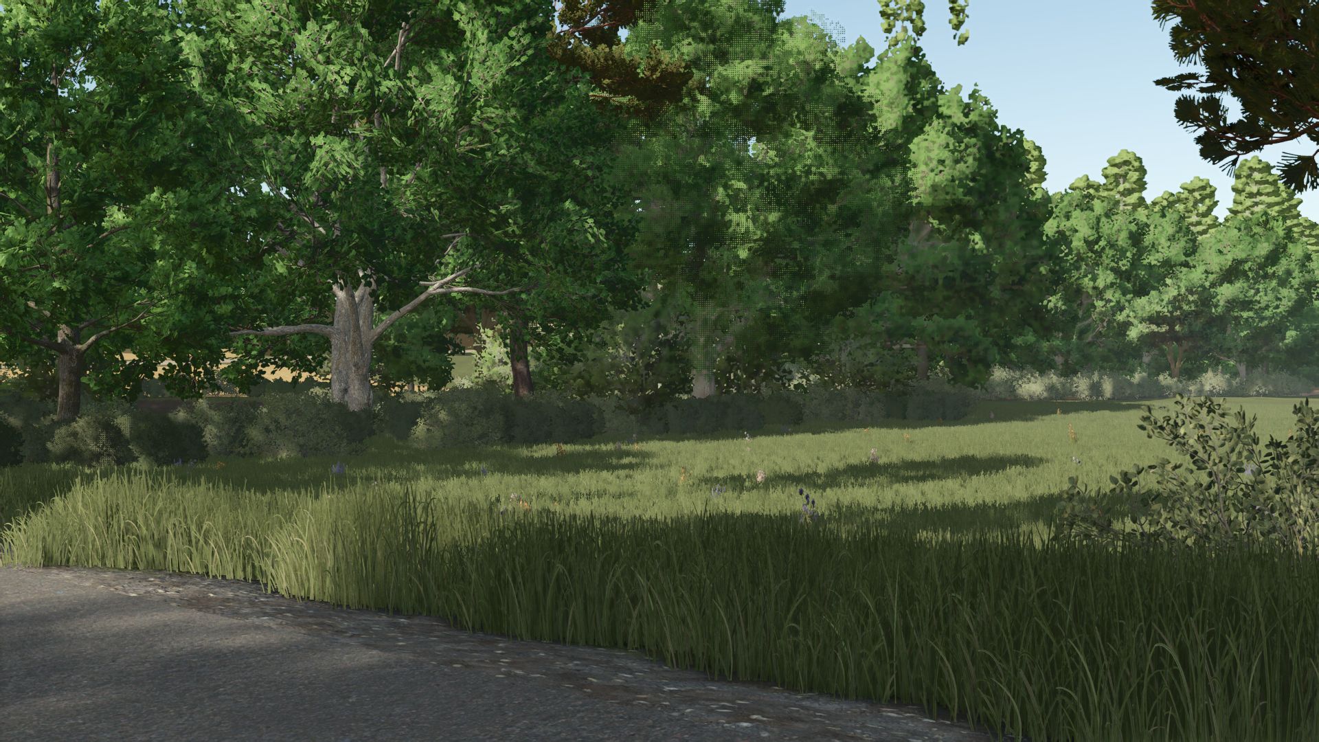 Kujawska Ziemia Real Map 4x