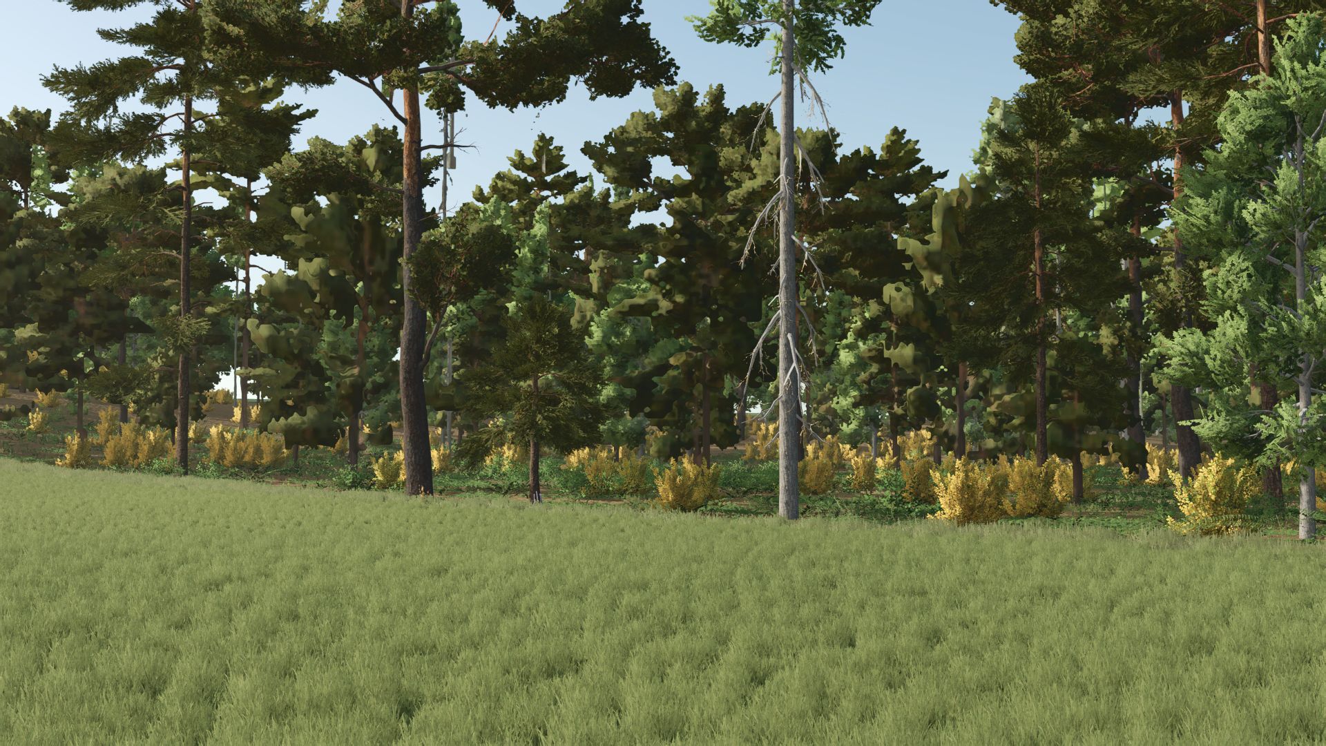 Kujawska Ziemia Real Map 4x