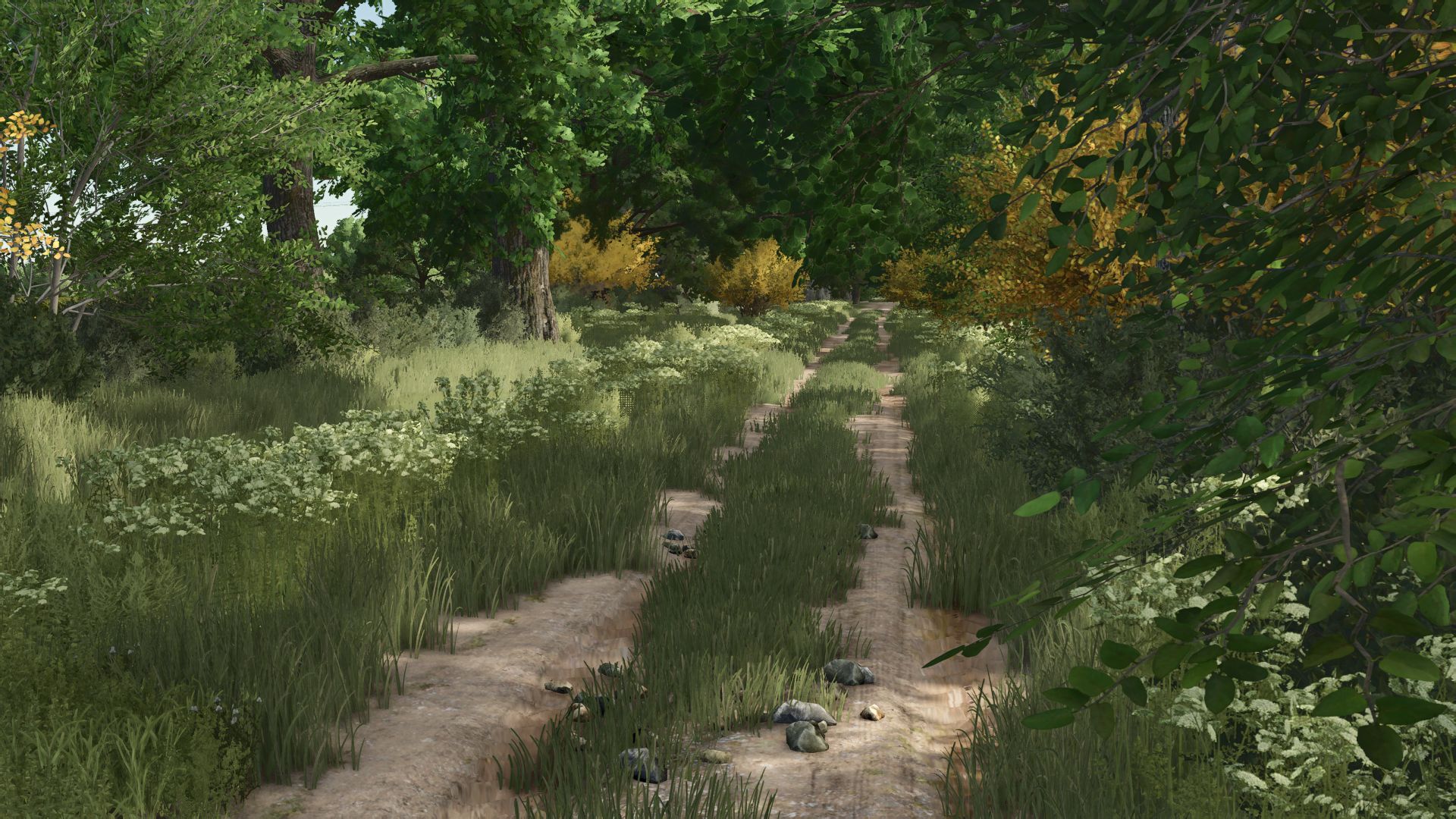 Kujawska Ziemia Real Map 4x