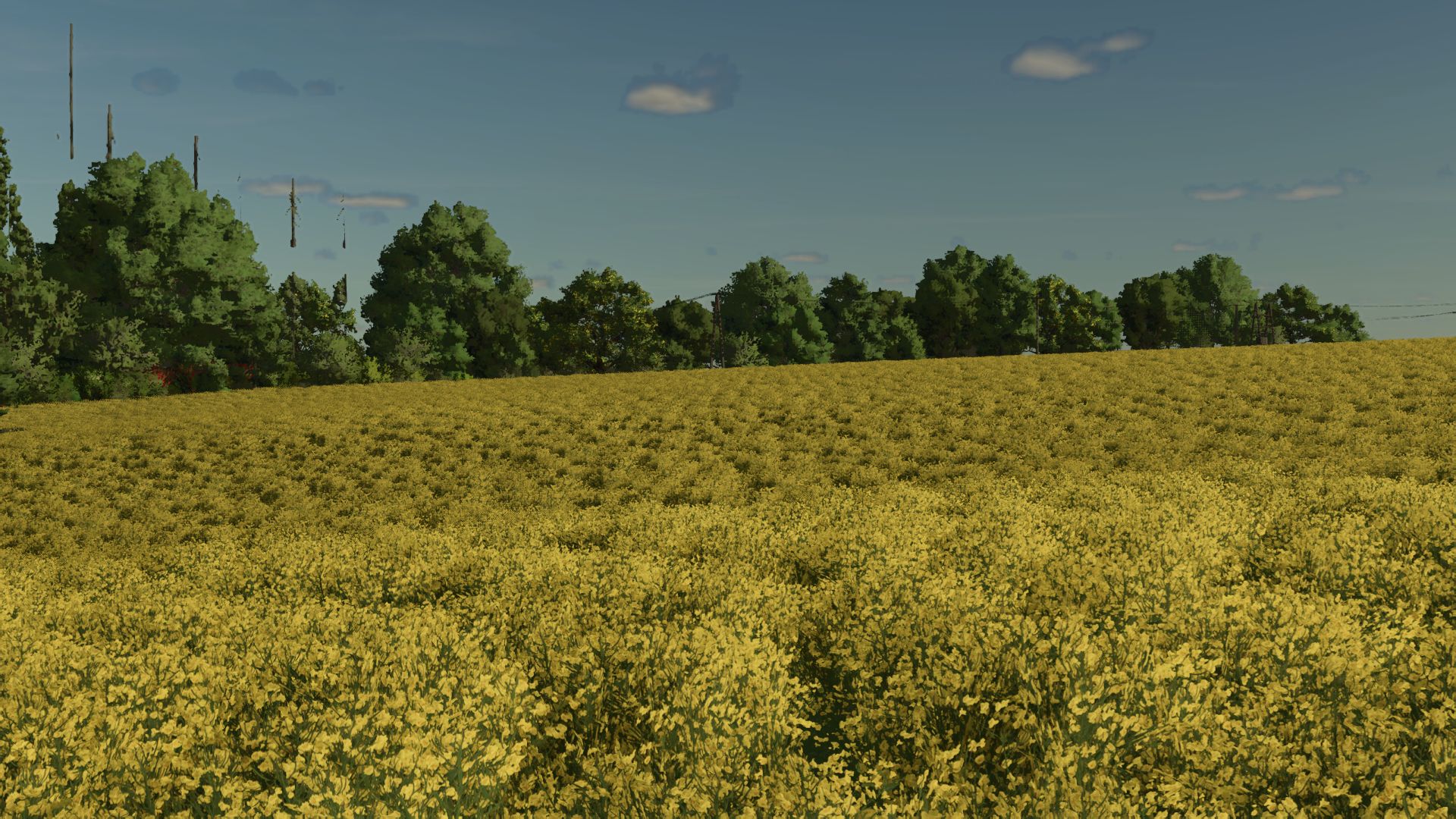 Kujawska Ziemia Real Map 4x