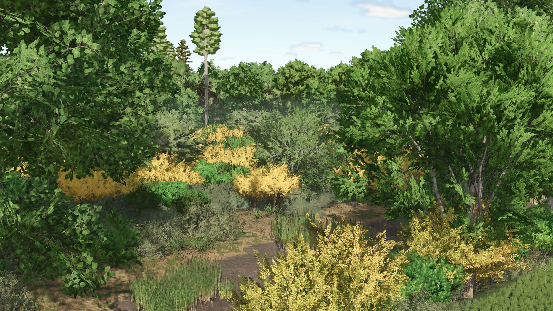 Kujawska Ziemia Real Map 4x