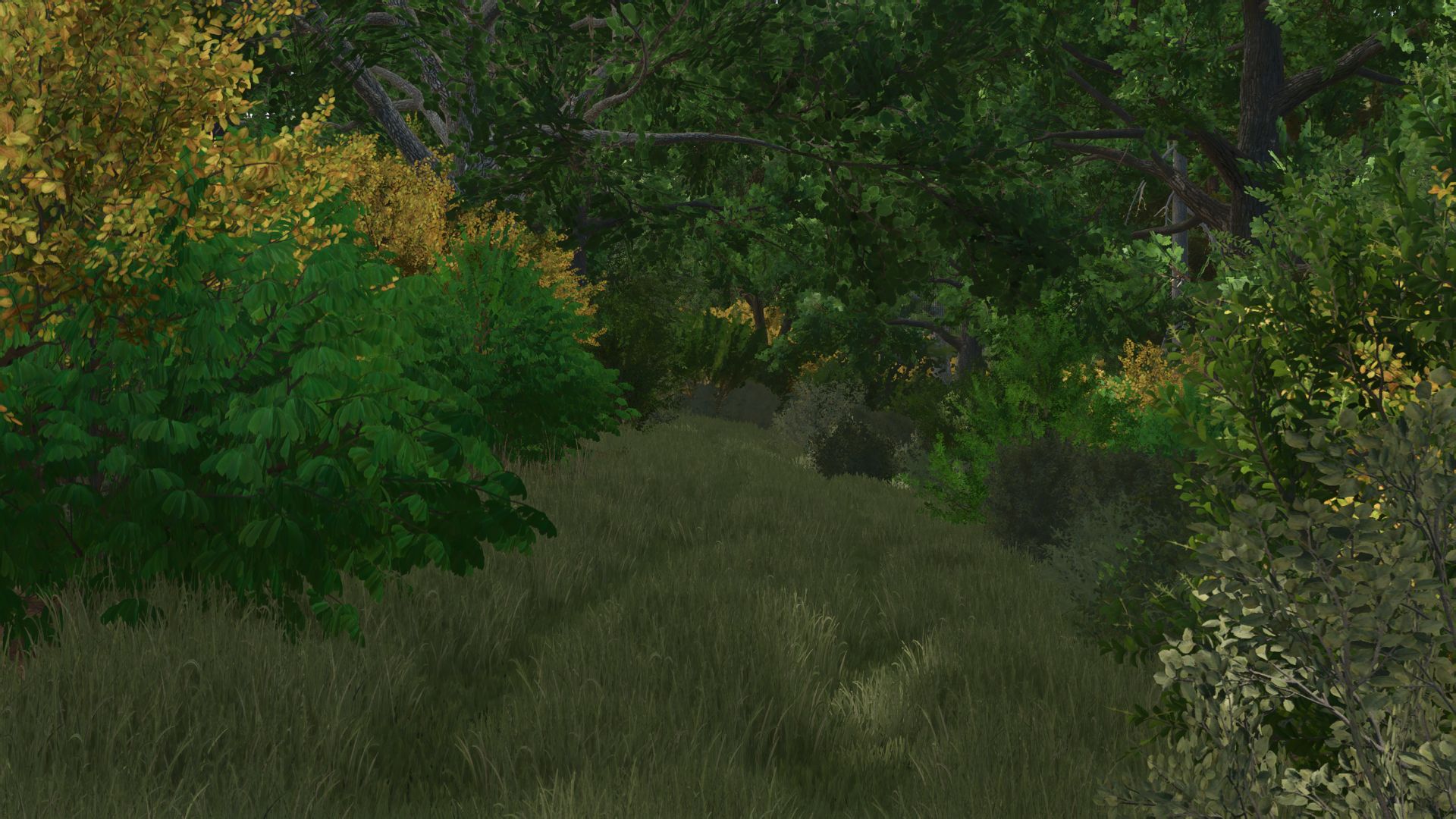 Kujawska Ziemia Real Map 4x