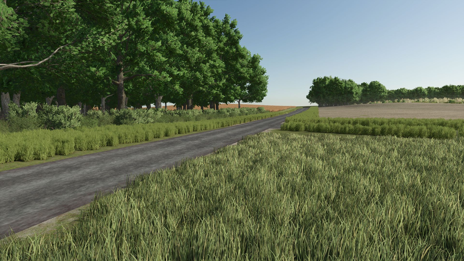 La Campagne Berrichonne