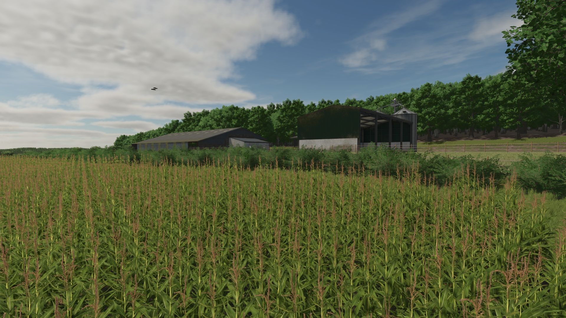 La Campagne Berrichonne