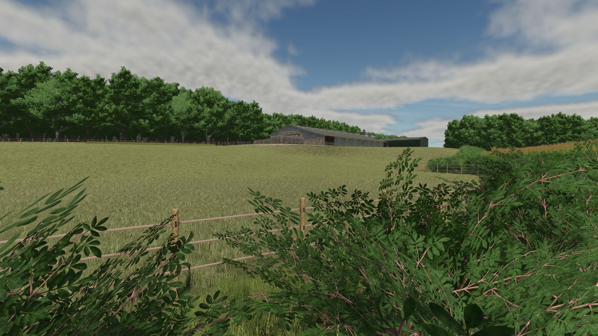 La Campagne Berrichonne