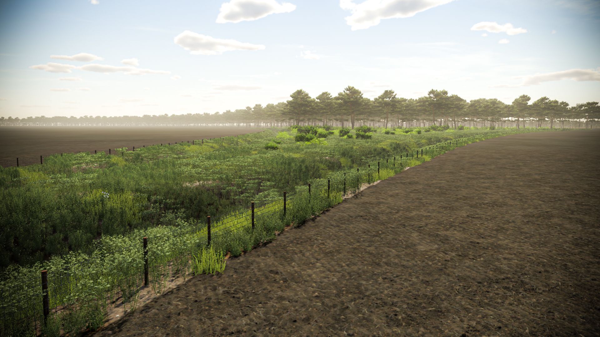 La Lucate, Gironde (33) - France