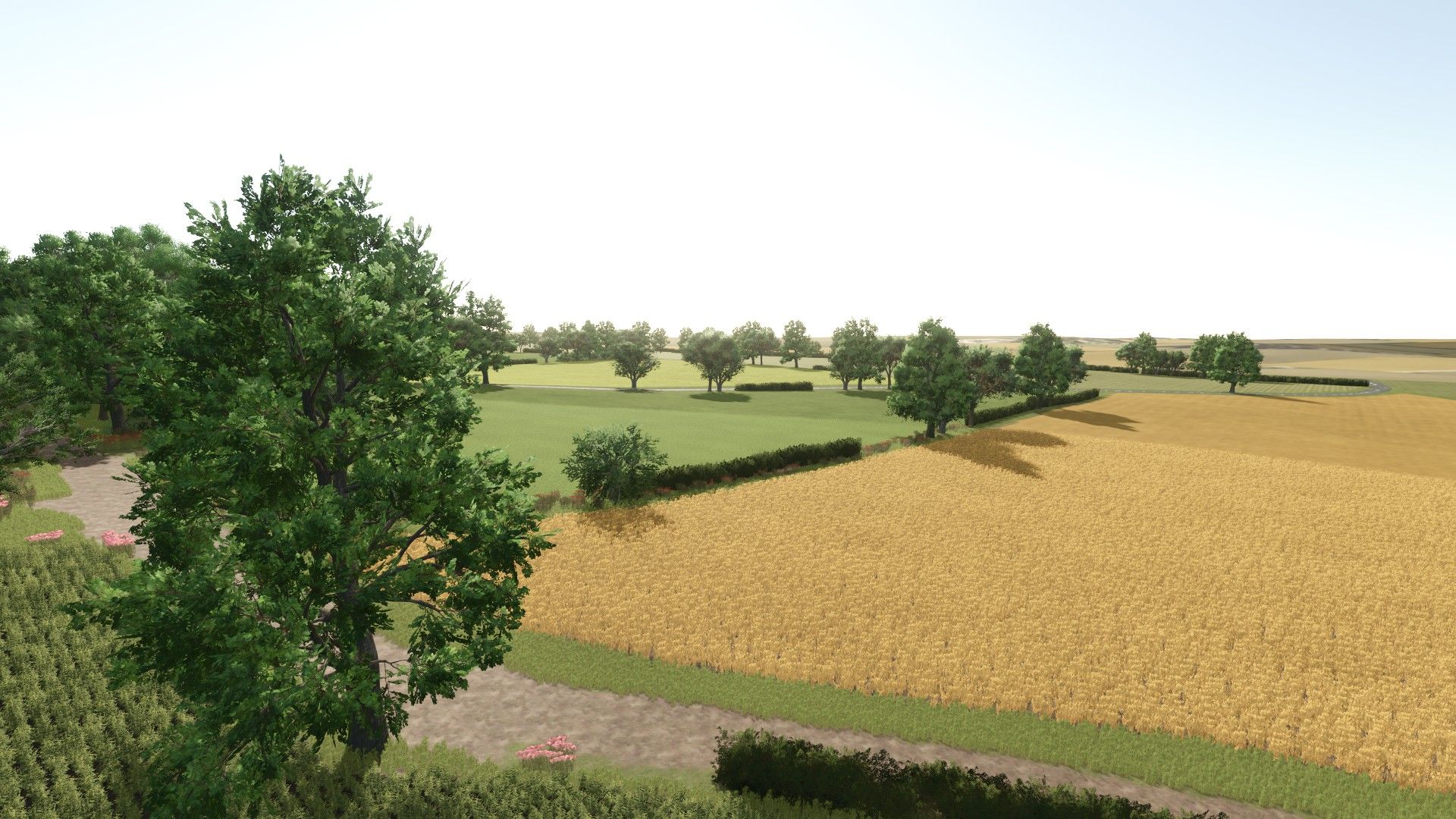 Les plaines de Hautemont