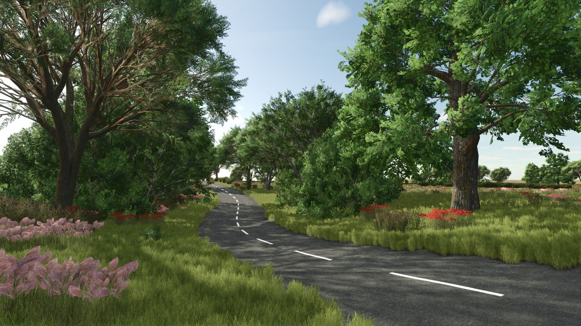 Les plaines de Hautemont