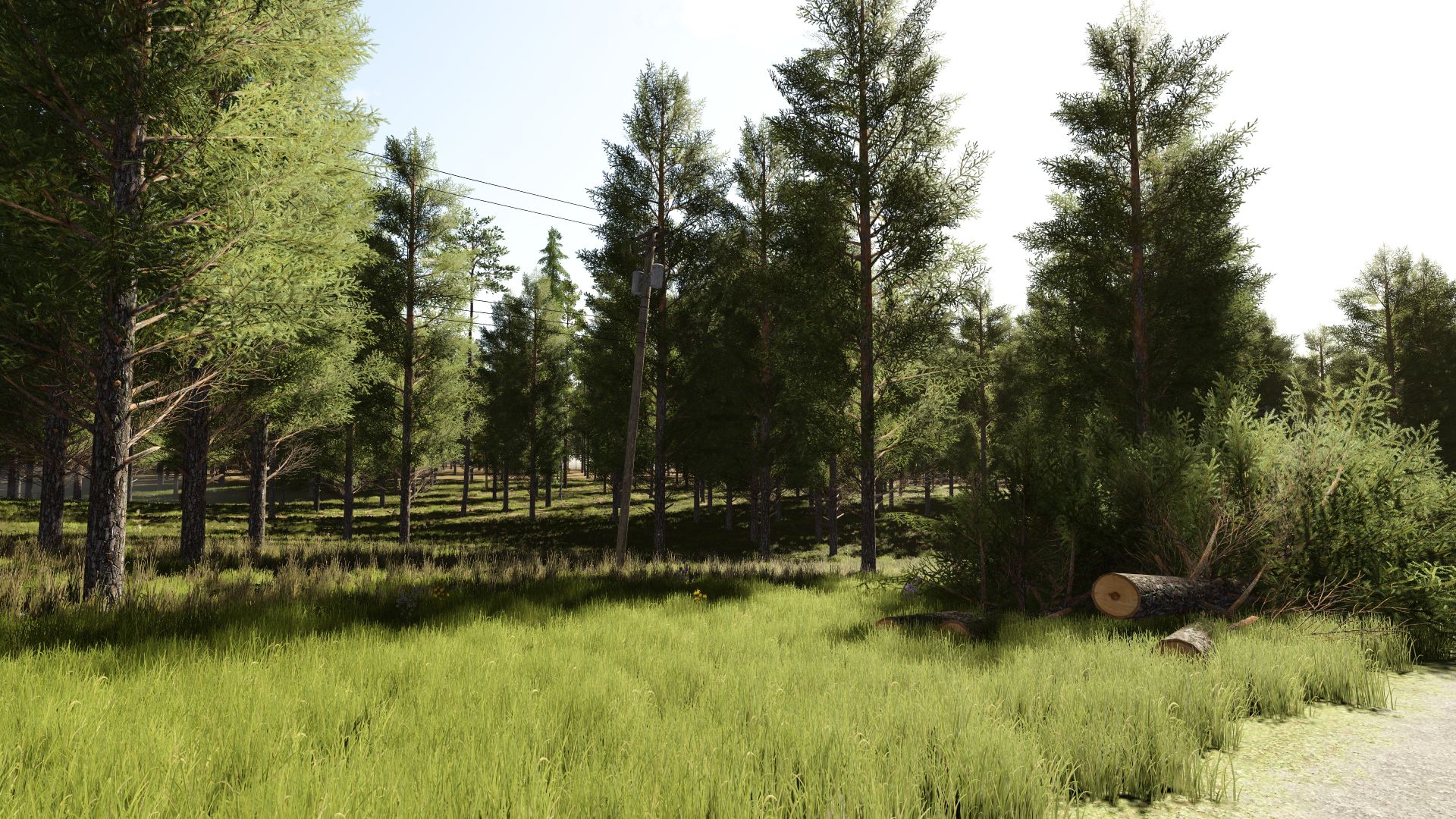 Logging Survival 4x