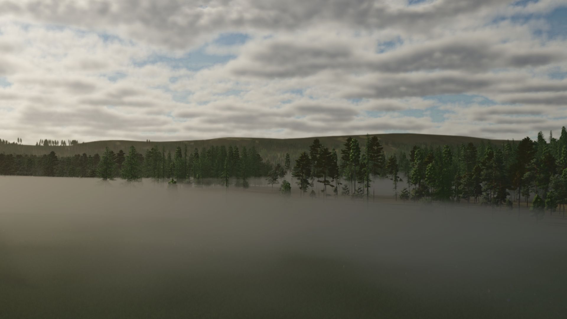 New Frontier Forestry