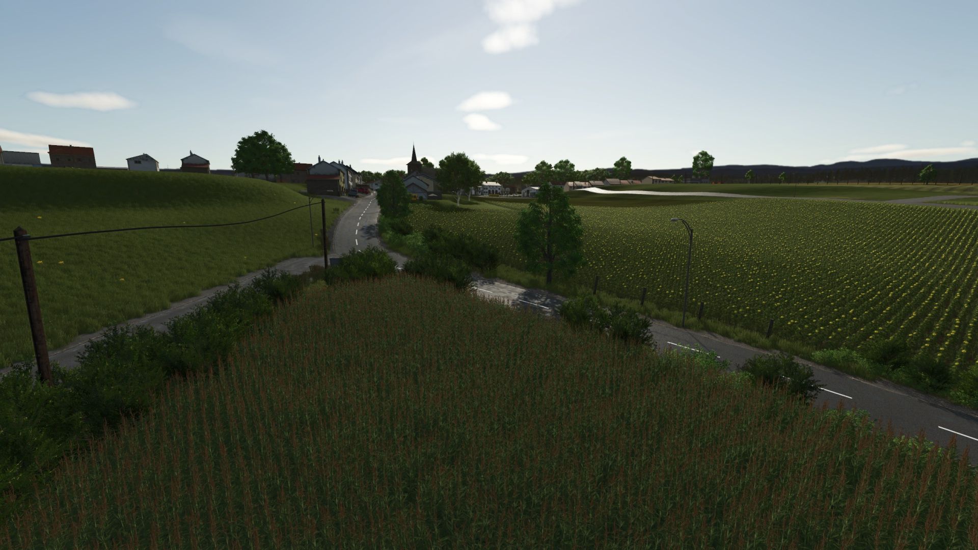 Petit coin de Saône