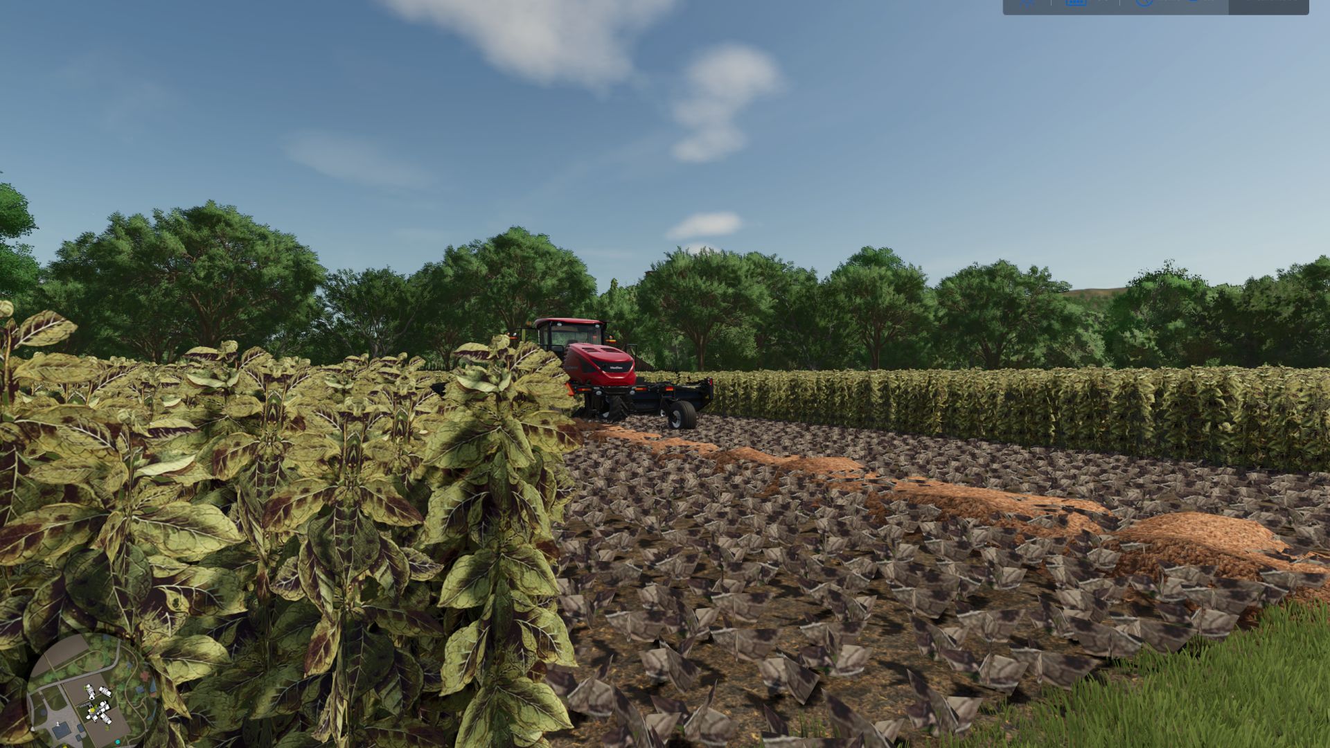 Riverbend Springs Multifruit Edit