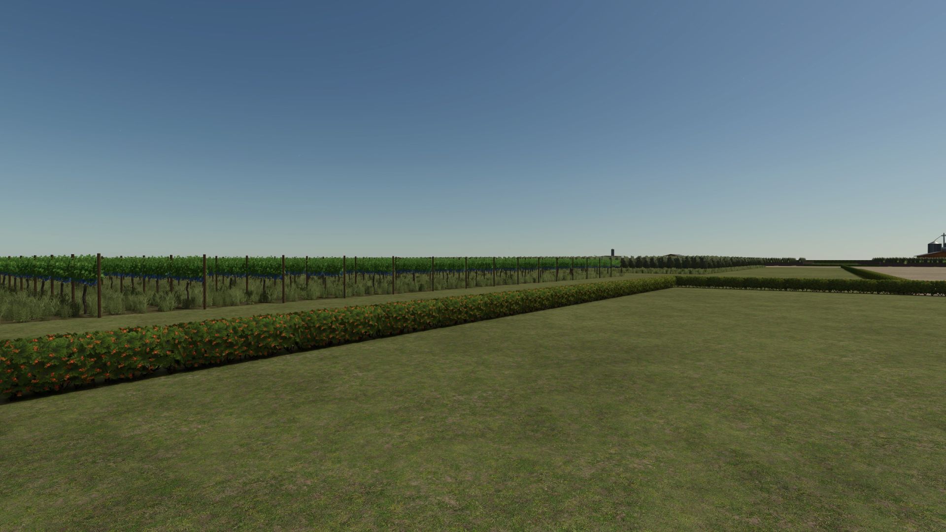 The American Agri Dream