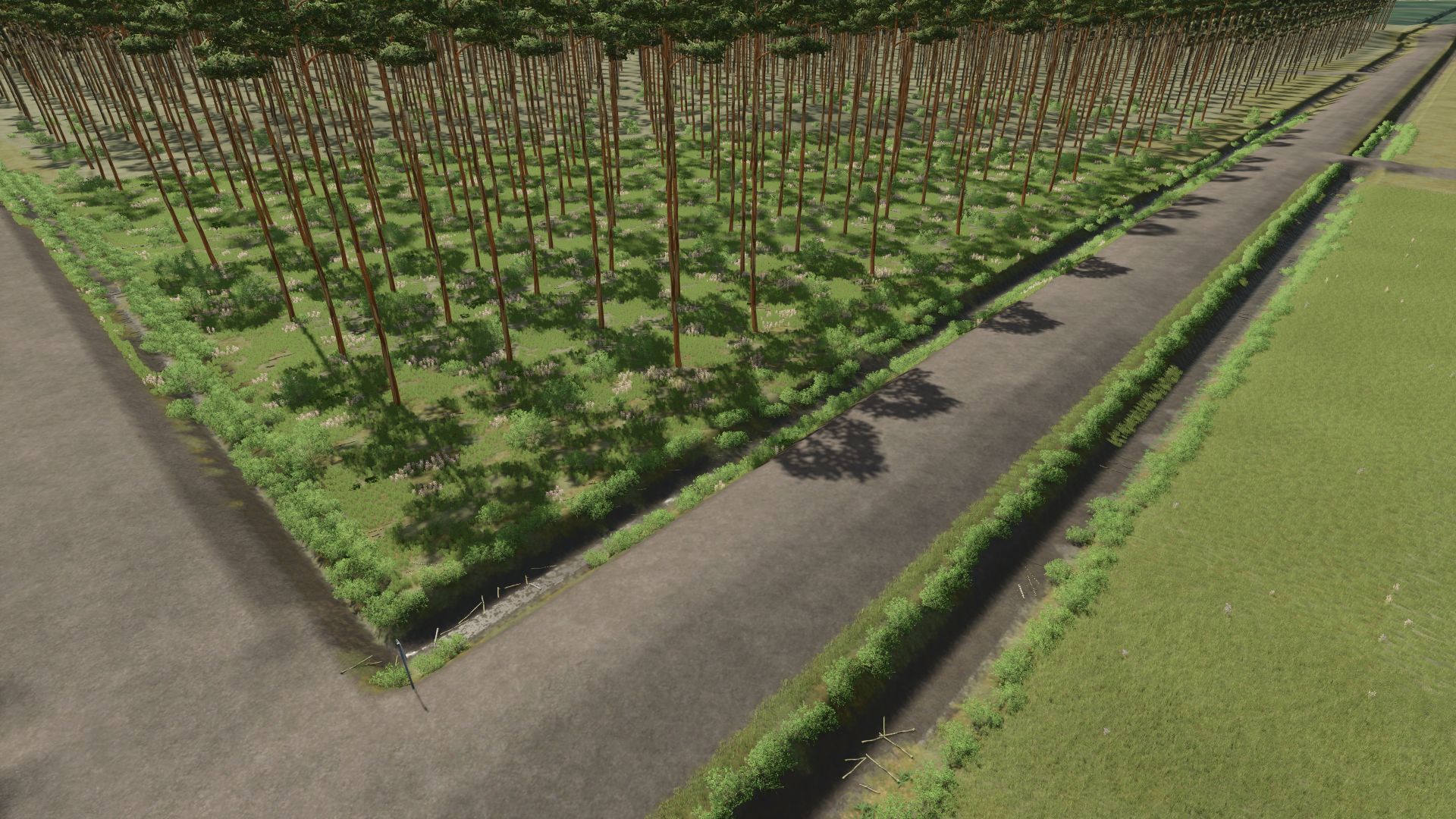 The Plantation - Eucalyptus Wood