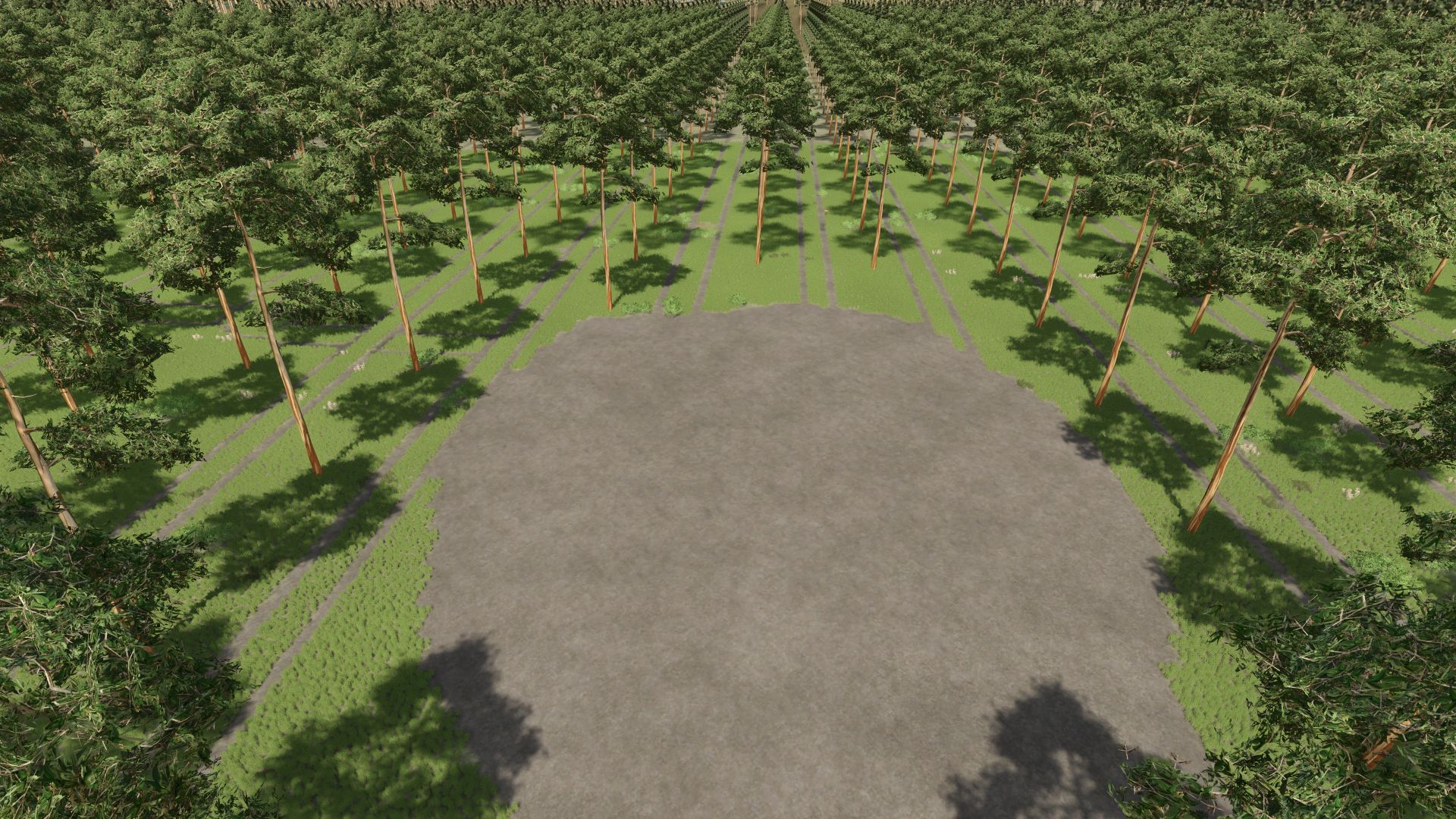 The Plantation - Eucalyptus Wood