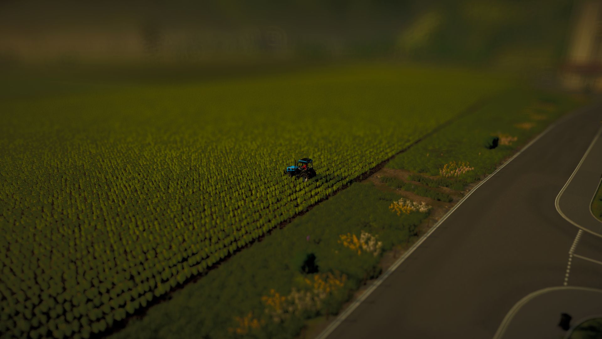 Tilt Shift Camera