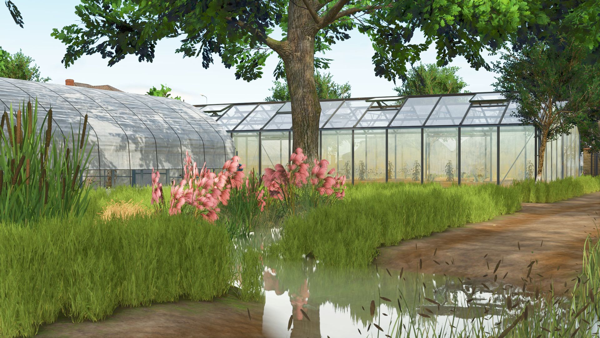 Un Nouveau Coin Du Monde