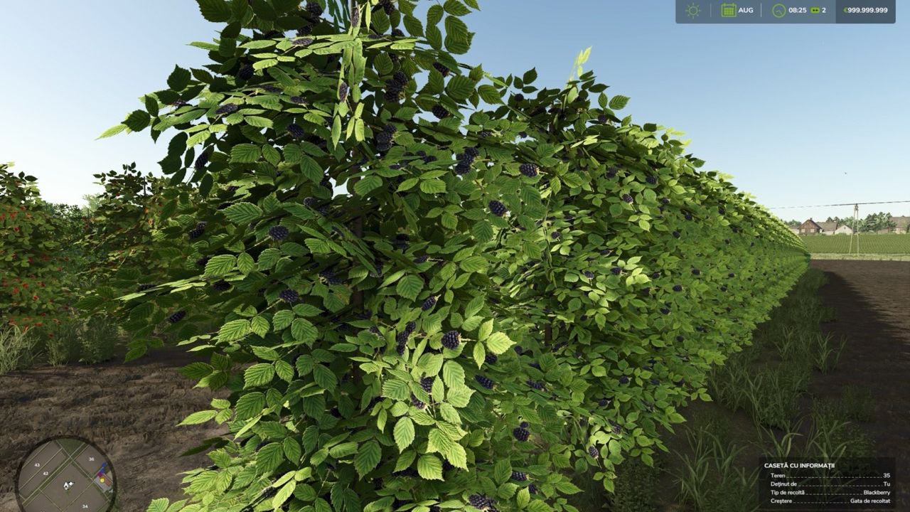 Zielonka Real Orchards Edition - Multifruit