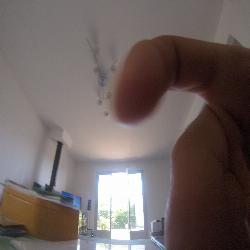 lenaim