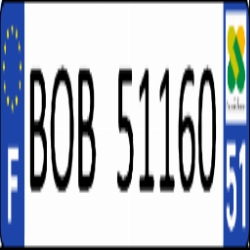BOB51160