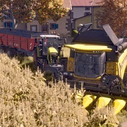 Bastien Farms