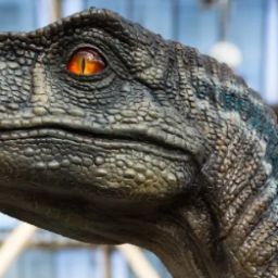 Raptor modded