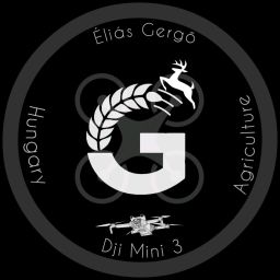 Elias Gergo
