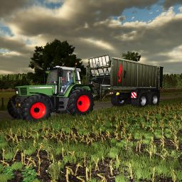 Knaller991