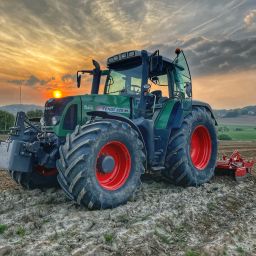 Alexis71820