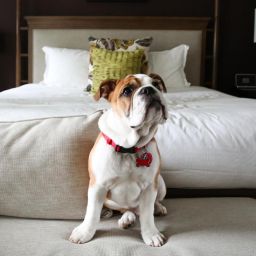 pawbookingco