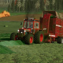VK FOREST