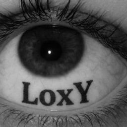 LoxY GARAGE