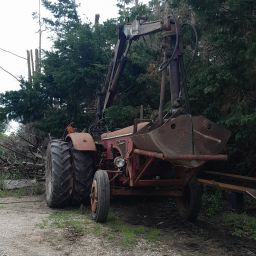 Wiebe fendt 203v 500