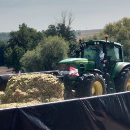 farmsim lover67